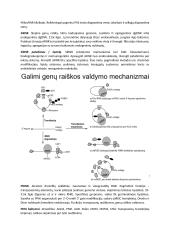 Molekulinės biologijos teorija 19 puslapis