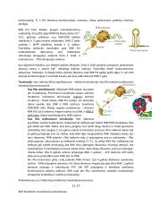 Molekulinės biologijos teorija 7 puslapis