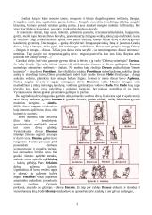 Senovės Graikijos religija 3 puslapis