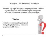 Apie ES švietimo politiką 2 puslapis