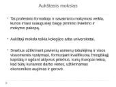 Apie ES švietimo politiką 12 puslapis