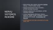 Nervų sistema, refleksai 5 puslapis