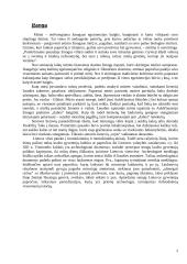 Senovės lietuvių ir šiuolaikiniai laidojimo papročiai 2 puslapis