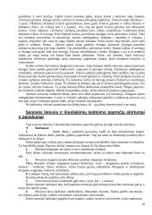 Senovės lietuvių ir šiuolaikiniai laidojimo papročiai 10 puslapis