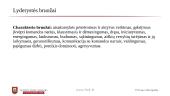 Lyderystės stiliaus pasirinkimas priklausomai nuo situacijos 9 puslapis