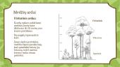 Pateiktys apie drėgnuosius atogrąžų miškus 5 puslapis