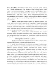 Senovės lietuvių pasaulėvaizdis 6 puslapis