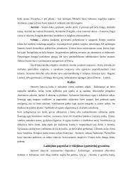 Senovės lietuvių pasaulėvaizdis 8 puslapis