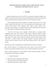 Socialiai pažeistas indvidas jį supančioje aplinkoje 3 puslapis