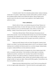 Atvejo analizė: 16-metė paauglė 2 puslapis