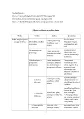 Atvejo analizė: 16-metė paauglė 7 puslapis