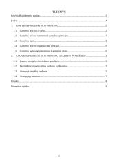 Gamybos procesas AB "Pieno žvaigždės" 2 puslapis