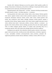 Gamybos procesas AB "Pieno žvaigždės" 11 puslapis