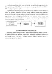 Gamybos procesas AB "Pieno žvaigždės" 17 puslapis