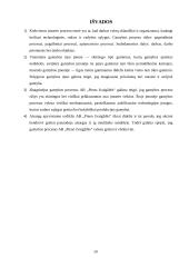 Gamybos procesas AB "Pieno žvaigždės" 19 puslapis