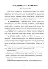 Gamybos procesas AB "Pieno žvaigždės" 5 puslapis