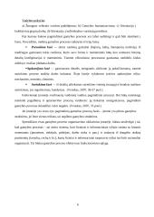 Gamybos procesas AB "Pieno žvaigždės" 6 puslapis