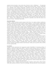 Sirija ir Finikija 4 puslapis