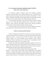 Rinkodaros veiklos efektyvumo įvertinimas 8 puslapis