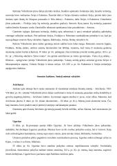 Sirijos civilizacija 2 puslapis