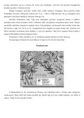 Sirijos civilizacija 11 puslapis