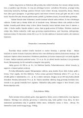 Sirijos civilizacija 13 puslapis