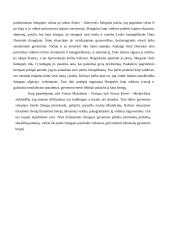 Asmens dvilypumas lietuvių literatūroje 3 puslapis