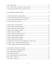 UAB „Katiliukas“ veiklos analizė 2 puslapis