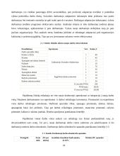 UAB „Katiliukas“ veiklos analizė 20 puslapis