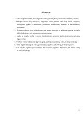 Psichosocialinė pagalba šeimai auginančiai neįgalų vaiką 11 puslapis