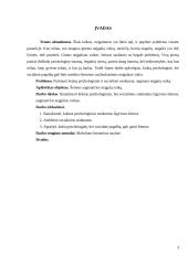 Psichosocialinė pagalba šeimai auginančiai neįgalų vaiką 2 puslapis