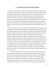 Psichosocialinė pagalba šeimai auginančiai neįgalų vaiką 3 puslapis