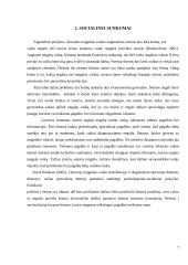 Psichosocialinė pagalba šeimai auginančiai neįgalų vaiką 6 puslapis