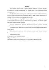 Skaitmeninis reljefo modelis 2 puslapis