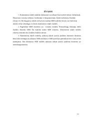 Skaitmeninis reljefo modelis 14 puslapis