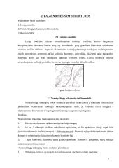 Skaitmeninis reljefo modelis 4 puslapis