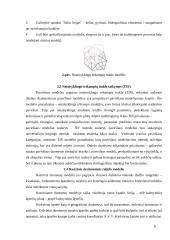 Skaitmeninis reljefo modelis 5 puslapis