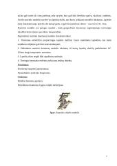 Skaitmeninis reljefo modelis 6 puslapis