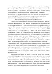 Skaitmeninis reljefo modelis 8 puslapis