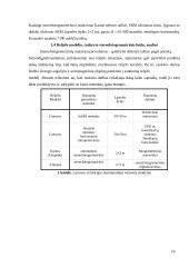 Skaitmeninis reljefo modelis 9 puslapis