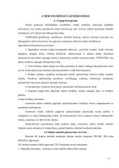 Skaitmeninis reljefo modelis 10 puslapis