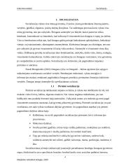 Pirminė ir antrinė socializacijos 3 puslapis
