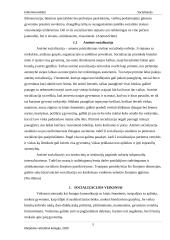 Pirminė ir antrinė socializacijos 4 puslapis