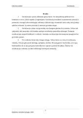 Pirminė ir antrinė socializacijos 8 puslapis