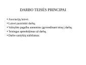 Darbo teisės genezė, paskirtis. Darbo teisės samprata ir sistema 10 puslapis