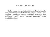 Darbo teisės genezė, paskirtis. Darbo teisės samprata ir sistema 8 puslapis