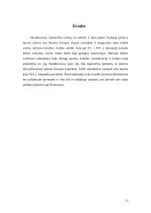 Skandinavija viduramžiais 13 puslapis