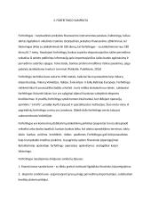 Faktoringas ir forfeitingas: analizė 8 puslapis