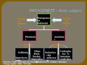 Veide lokalizuotų odos ligų diagnostikos ir gydymo principai 13 puslapis