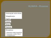 Veide lokalizuotų odos ligų diagnostikos ir gydymo principai 4 puslapis
